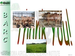 Demonstration of dairy technologies in peri-urban areas of Nekemte, Bako and Gimbi towns, western Oromia, Ethiopia