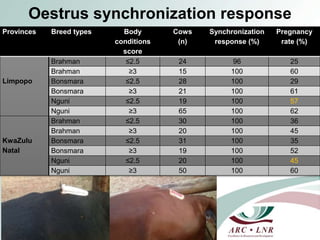 Comparison of oestrous synchronization response and pregnancy rate on village cows following timed artificial insemination in Kwazulu-Natal and Limpopo Provinces” 
