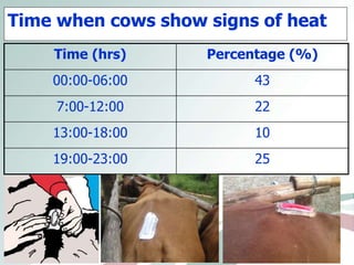 Comparison of oestrous synchronization response and pregnancy rate on village cows following timed artificial insemination in Kwazulu-Natal and Limpopo Provinces” 