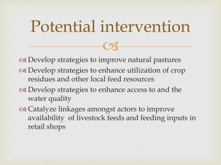 Assessment of feed and feeding systems in the beef value chains in Botswana