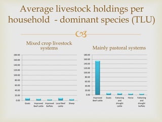 Assessment of feed and feeding systems in the beef value chains in Botswana