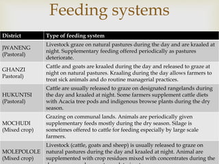 Assessment of feed and feeding systems in the beef value chains in Botswana