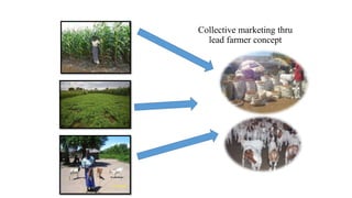 Role of support services in enhancing competitiveness of smallholder livestock farmers