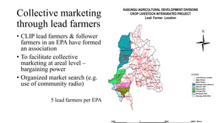 Role of support services in enhancing competitiveness of smallholder livestock farmers