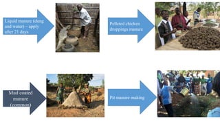 Role of support services in enhancing competitiveness of smallholder livestock farmers