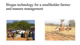 Role of support services in enhancing competitiveness of smallholder livestock farmers