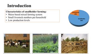 Role of support services in enhancing competitiveness of smallholder livestock farmers