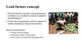 Role of support services in enhancing competitiveness of smallholder livestock farmers