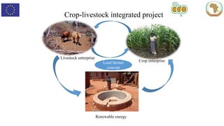 Role of support services in enhancing competitiveness of smallholder livestock farmers