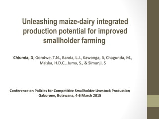 Unleashing maize-dairy integrated
production potential for improved
smallholder farming
Chiumia, D, Gondwe, T.N., Banda, L.J., Kawonga, B, Chagunda, M.,
Msiska, H.D.C., Juma, S., & Simunji, S
Conference on Policies for Competitive Smallholder Livestock Production
Gaborone, Botswana, 4-6 March 2015
 