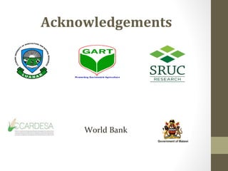 Unleashing maize-dairy integrated production potential for improved smallholder farming