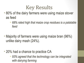 Unleashing maize-dairy integrated production potential for improved smallholder farming