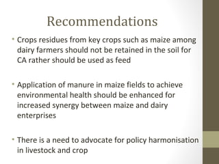 Unleashing maize-dairy integrated production potential for improved smallholder farming