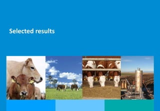 Measuring competitiveness of beef and sheep production on national and international level