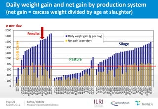 Measuring competitiveness of beef and sheep production on national and international level