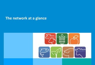 Measuring competitiveness of beef and sheep production on national and international level