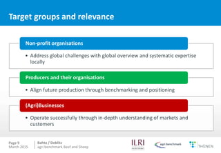 Measuring competitiveness of beef and sheep production on national and international level