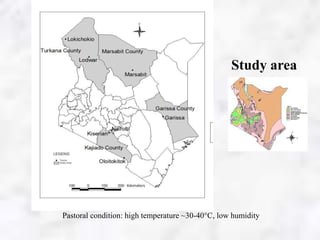 Meat preservation technologies in Kenya’s pastoral areas with potential for market competitiveness improvement