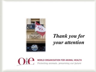 OIE’s role in smallholder livestock production in the SADC region