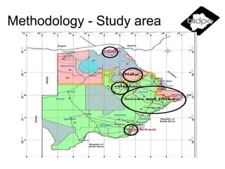Measurement of competitiveness in smallholder livestock systems and emerging policy advocacy: An application to Botswana