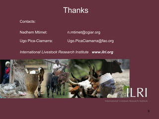 Market access through one million regressions: What do Ugandan dairy farmers say?