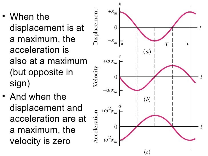 How To Calculate Maximum Acceleration In Simple Harmonic Motion Haiper