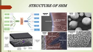 STRUCTURE OF SHM
 