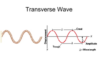 Transverse Wave 