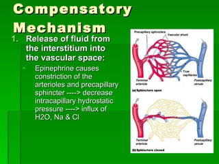 Compensatory Mechanism Release of fluid from the interstitium into the vascular space: Epinephrine causes constriction of the arterioles and precapillary sphincter ----> decrease intracapillary hydrostatic pressure ----> influx of H2O, Na & Cl 