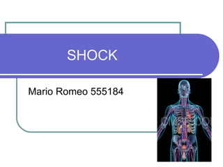 SHOCK Mario Romeo 555184 