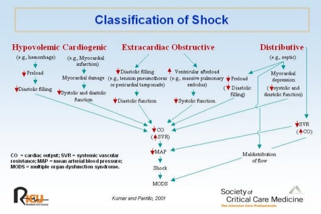 scientific calculator with 2nd