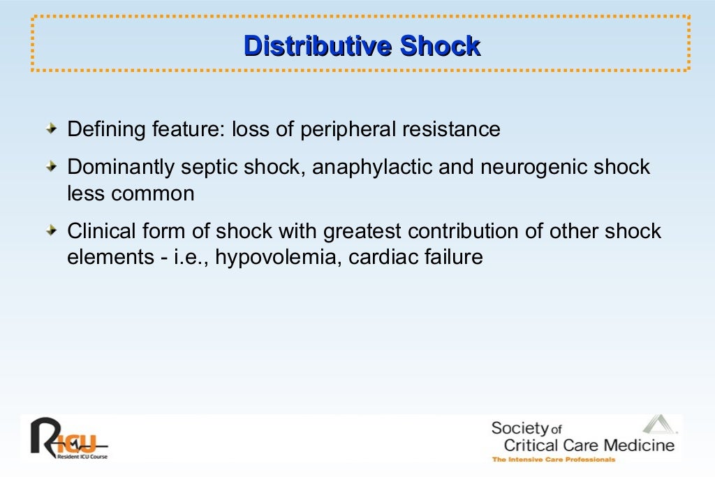 Shock 12031146296713925