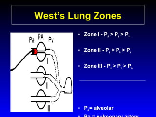 West’s Lung Zones
• Zone I - PA > Pa > Pv
• Zone II - Pa > PA > Pv
• Zone III - Pa > Pv > PA

• PA = alveolar

 