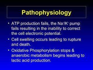 Pathophysiology
• ATP production fails, the Na+/K+ pump
fails resulting in the inability to correct
the cell electronic potential.
• Cell swelling occurs leading to rupture
and death.
• Oxidative Phosphorylation stops &
anaerobic metabolism begins leading to
lactic acid production.

 