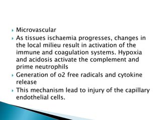  Microvascular
 As tissues ischaemia progresses, changes in
the local milieu result in activation of the
immune and coagulation systems. Hypoxia
and acidosis activate the complement and
prime neutrophils
 Generation of o2 free radicals and cytokine
release
 This mechanism lead to injury of the capillary
endothelial cells.
 