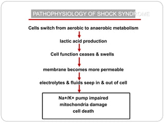 PATHOPHYSIOLOGY OF SHOCK SYNDROME
Cells switch from aerobic to anaerobic metabolism
lactic acid production
Cell function ceases & swells
membrane becomes more permeable
electrolytes & fluids seep in & out of cell
Na+/K+ pump impaired
mitochondria damage
cell death
 