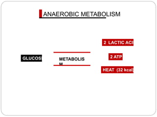 GLUCOSE
HEAT (32 kcal)
2 ATP
2 LACTIC ACID
ANAEROBIC METABOLISM
METABOLIS
M
 