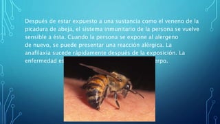 Después de estar expuesto a una sustancia como el veneno de la
picadura de abeja, el sistema inmunitario de la persona se vuelve
sensible a ésta. Cuando la persona se expone al alergeno
de nuevo, se puede presentar una reacción alérgica. La
anafilaxia sucede rápidamente después de la exposición. La
enfermedad es grave y compromete a todo el cuerpo.
 