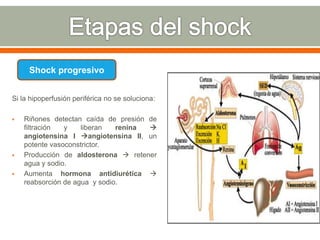 Si la hipoperfusión periférica no se soluciona:
 Riñones detectan caída de presión de
filtración y liberan renina 
angiotensina I angiotensina II, un
potente vasoconstrictor.
 Producción de aldosterona  retener
agua y sodio.
 Aumenta hormona antidiurética 
reabsorción de agua y sodio.
Shock progresivo
 