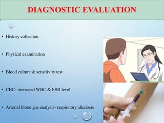 DIAGNOSTIC EVALUATION
• History collection
• Physical examination
• Blood culture & sensitivity test
• CBC- increased WBC & ESR level
• Arterial blood gas analysis- respiratory alkalosis
 