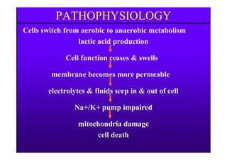 PATHOPHYSIOLOGYPATHOPHYSIOLOGY
Cells switch from aerobic to anaerobic metabolism
lactic acid production
Cell function ceases & swells
membrane becomes more permeable
electrolytes & fluids seep in & out of cell
Na+/K+ pump impaired
mitochondria damage
cell death
 