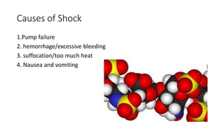 Causes of Shock
1.Pump failure
2. hemorrhage/excessive bleeding
3. suffocation/too much heat
4. Nausea and vomiting
 