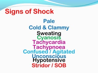 Shock 22 | PPT
