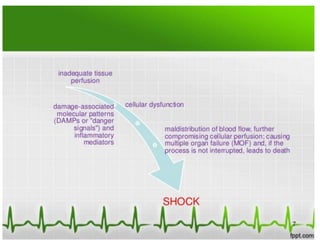 shock.pdf