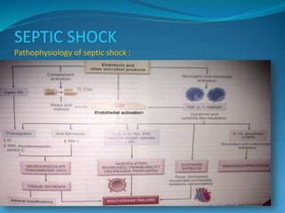SEPTIC SHOCK
Pathophysiology of septic shock :
 