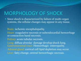 MORPHOLOGY OF SHOCK
 Since shock is characterized by failure of multi-organ
systems, the cellular changes may appear in any tissue.
Brain: ischemic encephalopathy.
Heart: coagulative necrosis or subendocardial hemorrhage
or contraction band necrosis.
Kidney: acute tubular necrosis.
Lung: diffuse alveolar damage develop shock lung.
Gastrointestinal tract: Hemorrhagic enteropathy.
Adrenal gland: cortical cell lipid depletion may occur.
Liver: fatty change, central hemorrhagic necrosis.
 