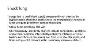 Shock lung
• Lungs due to dual blood supply are generally not affected by
hypovolaemic shock but septic shock the morphologic changes in
lungs are quite prominent termed shock lung
• Gross- lungs are heavy and wet
• Microscopically- ards brifly changes include congestion , interstitial
and alveolar oedema, interstitial lymphocytic infiltrate, alveolar
hyaline membranes, thickening and fibrosis of alveolar septa, and
fibrin and platelet thrombi in the pulmonary microvasculature.
 