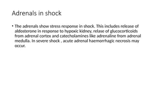 Adrenals in shock
• The adrenals show stress response in shock. This includes release of
aldosterone in response to hypoxic kidney, relase of glucocorticoids
from adrenal cortex and catecholamines like adrenaline from adrenal
medulla. In severe shock , acute adrenal haemorrhagic necrosis may
occur.
 