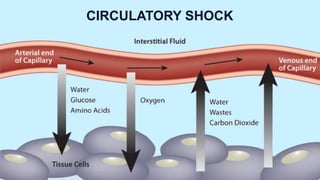 Typese mechanism stages management of shock | PDF