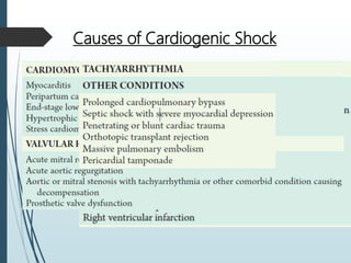 Causes of Cardiogenic Shock
 